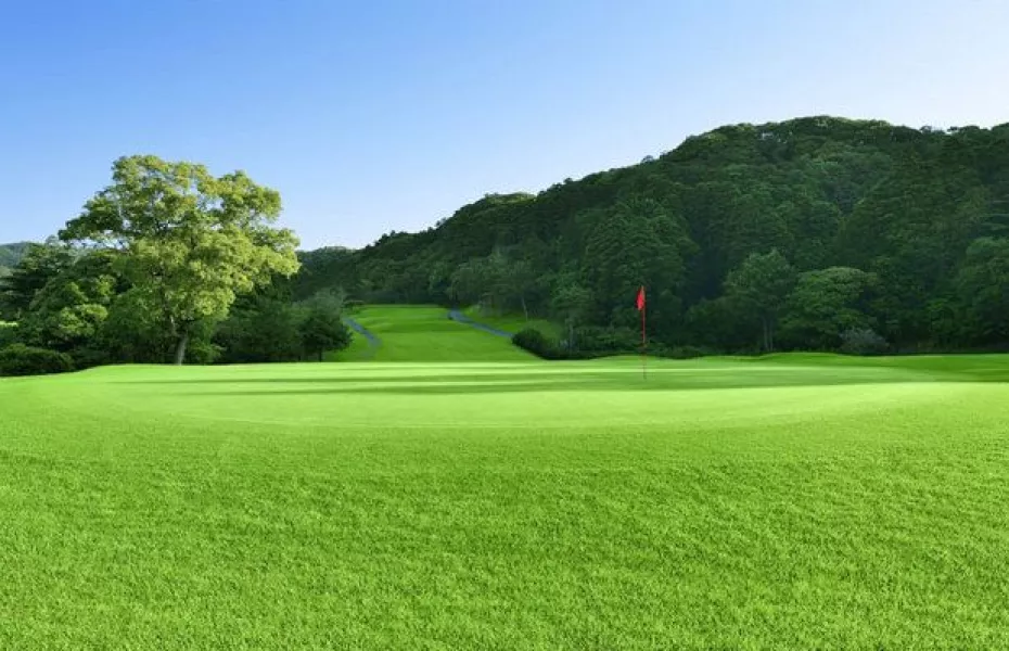 Ohtaki CC - West: #8