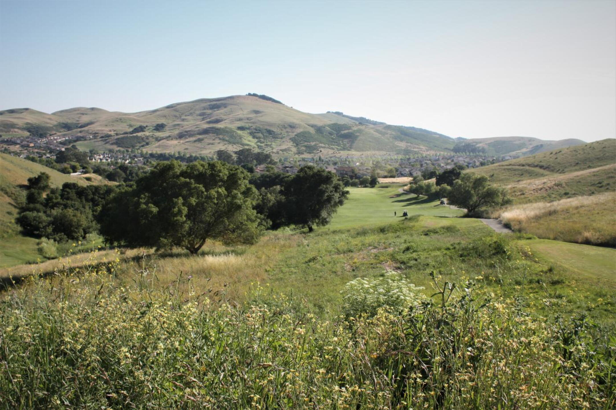 View at #14 Tee Box (Photo submitted by reyt925 on 06/01/2019)