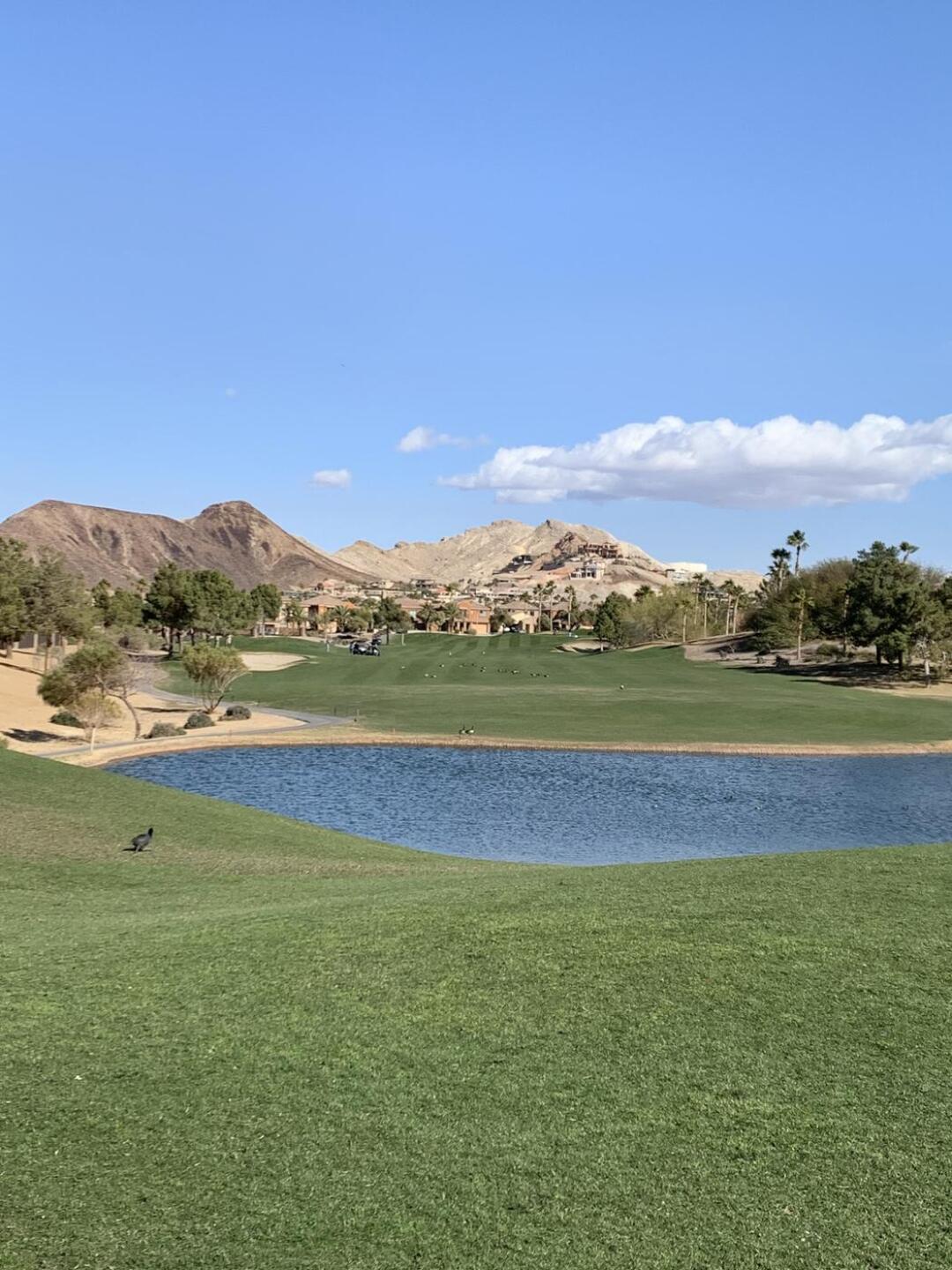 (Photo submitted by BobnFran on 02/06/2023)