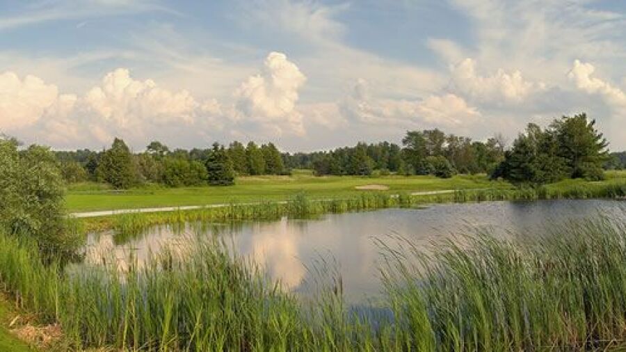 Hawk Ridge GCC - Meadow Nest: #7