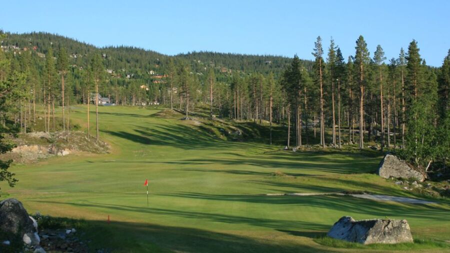 Nesbyen GC: #1