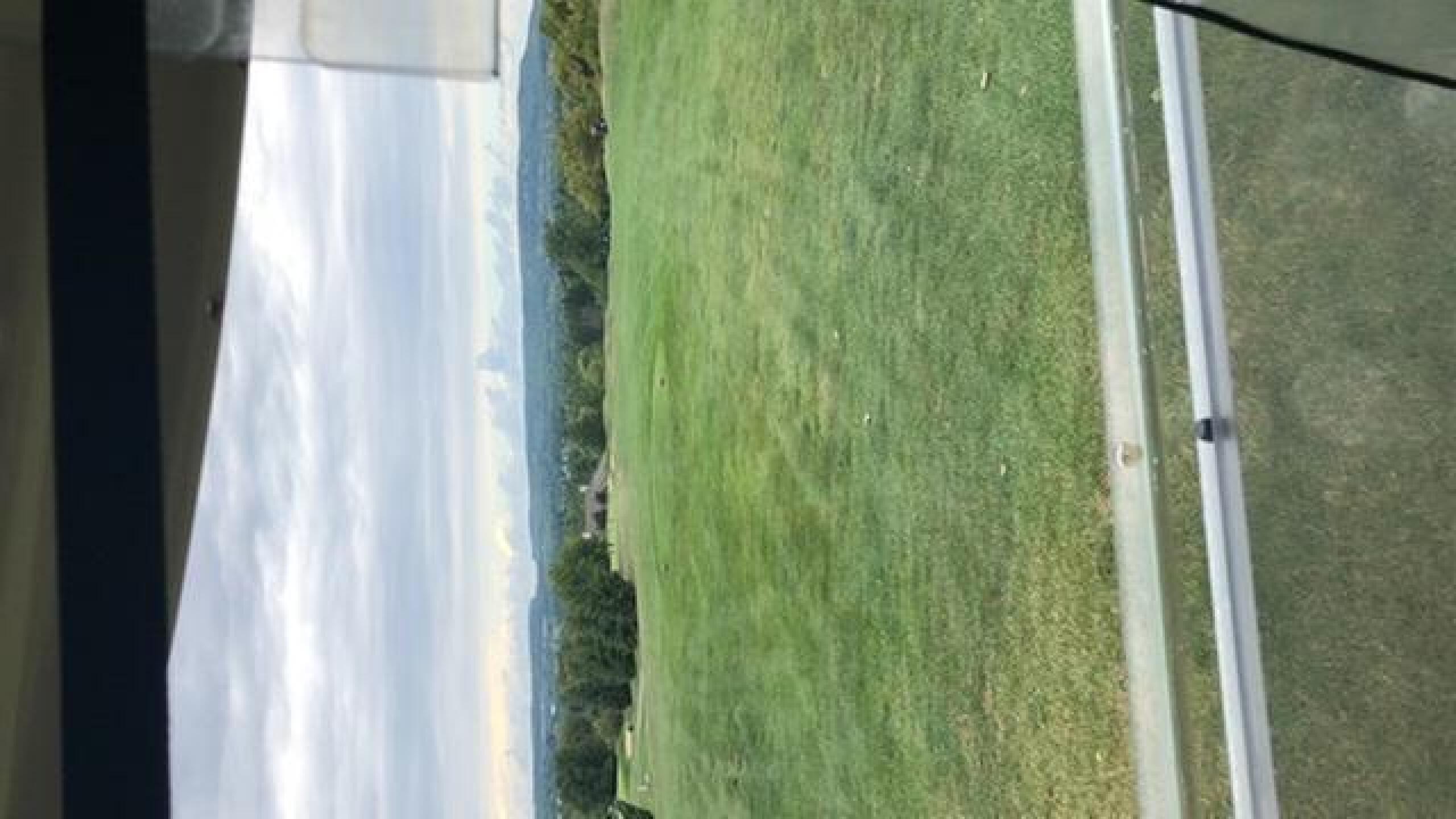 (Photo submitted by maccrushedit on 09/05/2020)