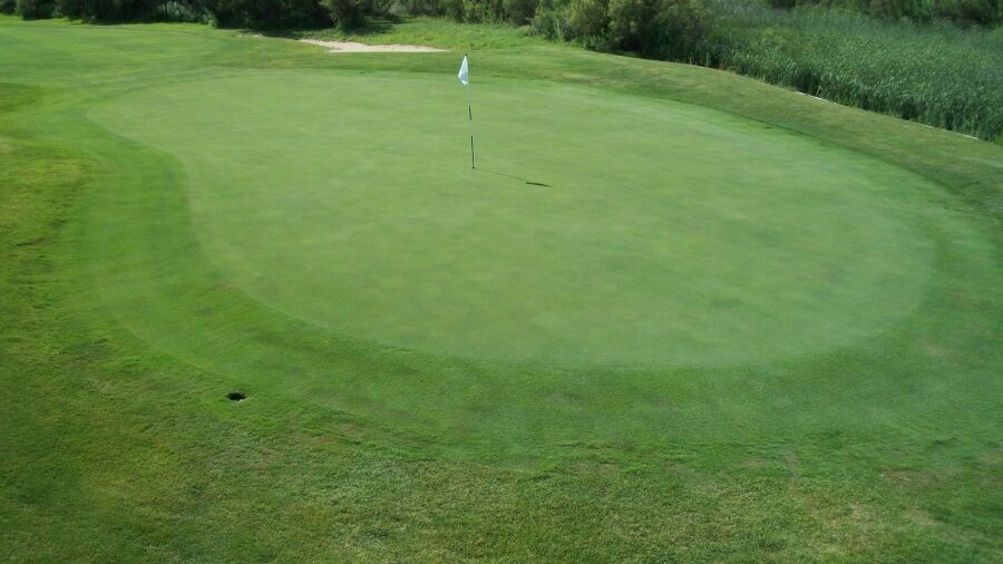 Tamarisk GC: #4