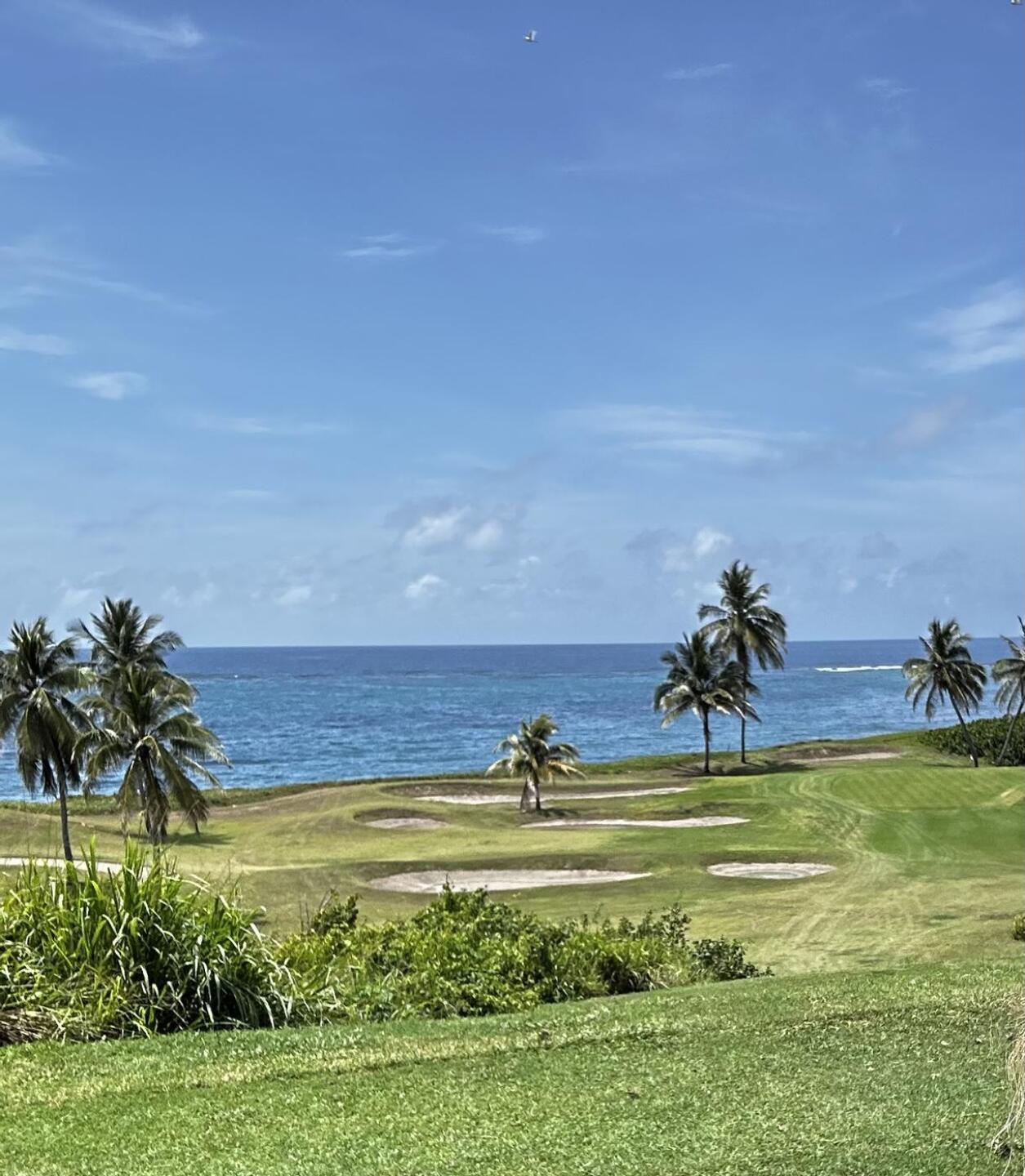 “Signature” hole (Photo submitted by u6565324 on 05/05/2024)