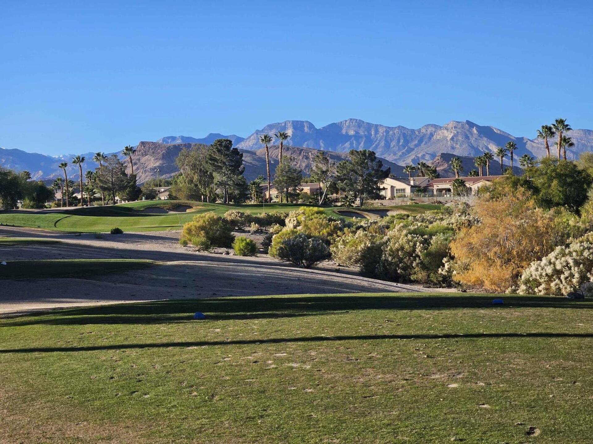 (Photo submitted by u314161622535 on 12/13/2025)