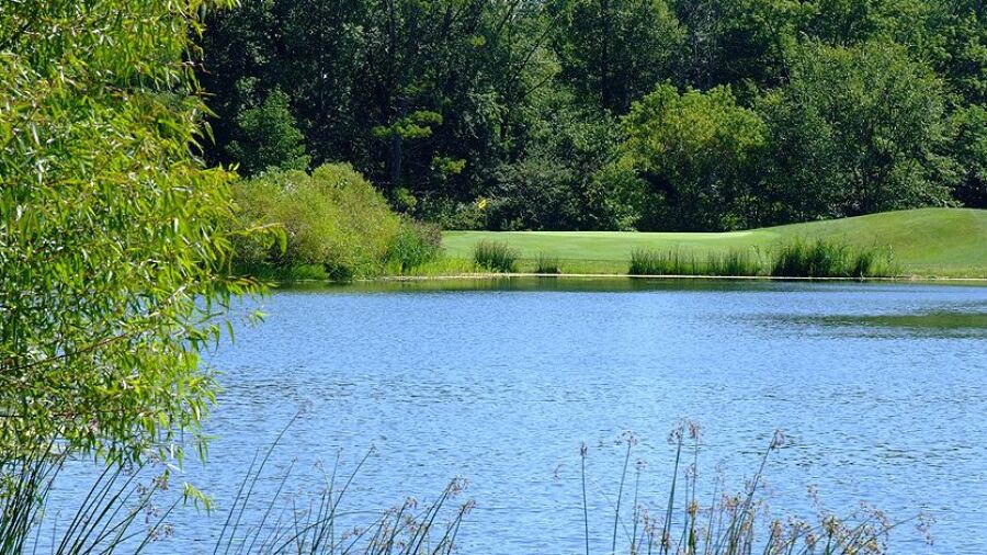 The Sanctuary GC