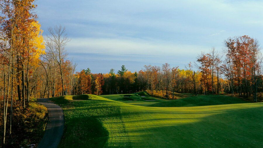 Big Fish GC: #17