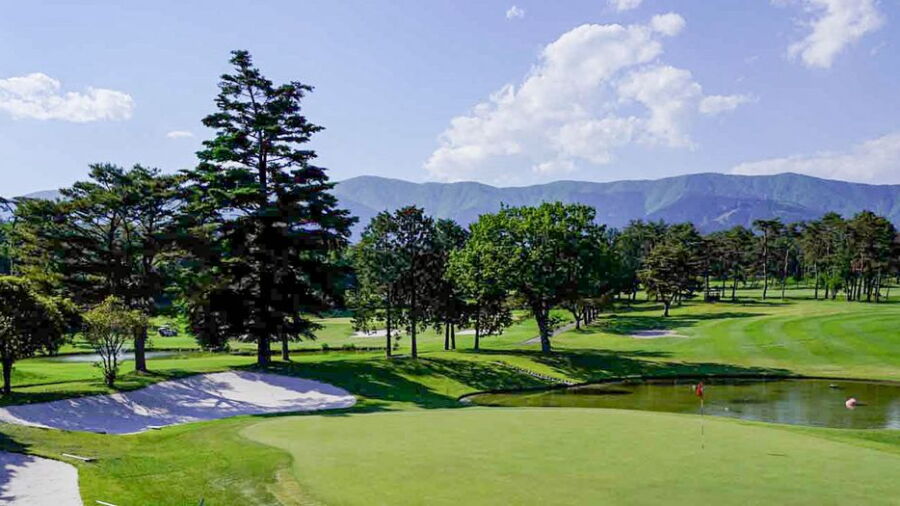 Fuji International GC