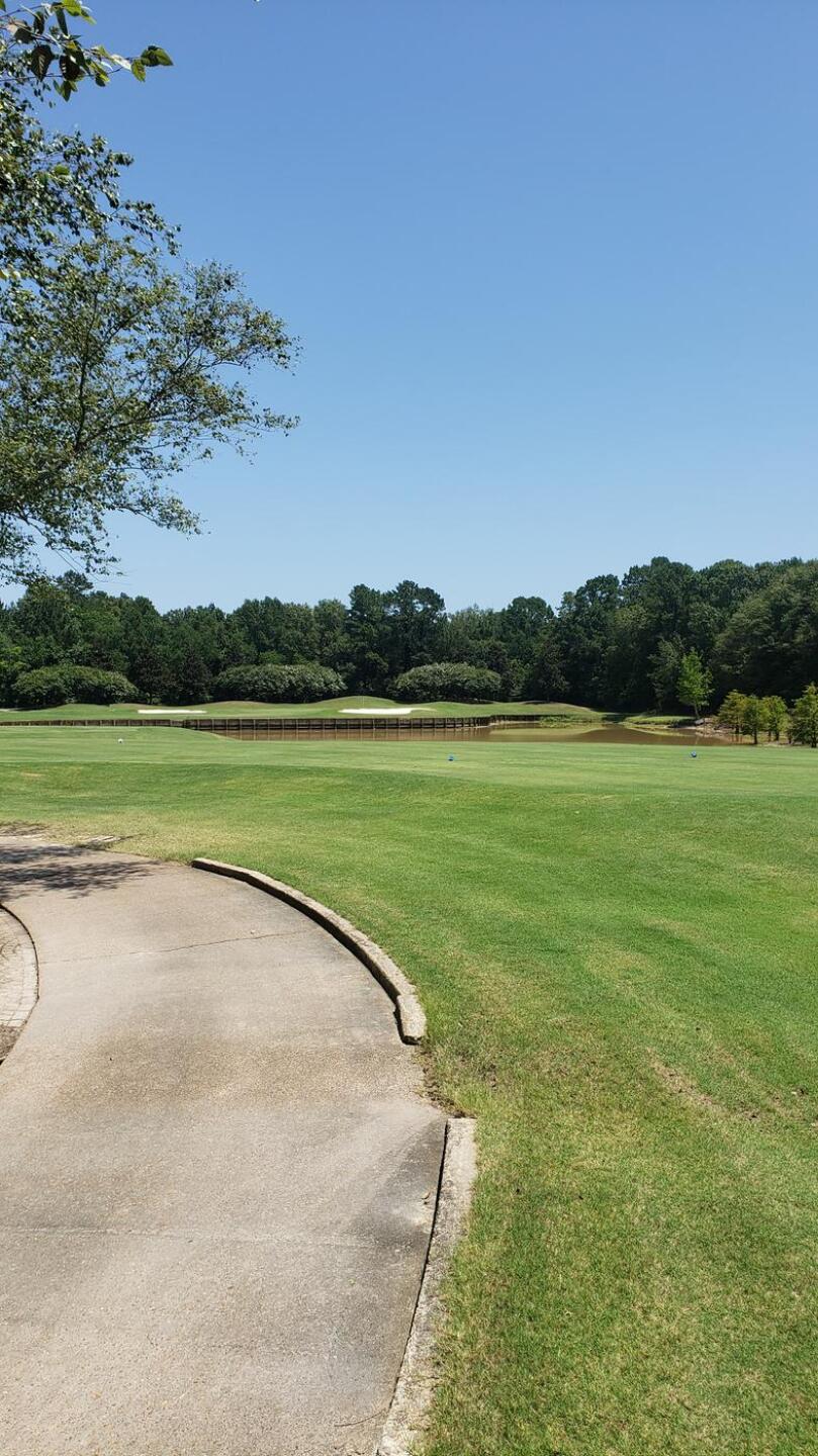 (Photo submitted by amartin44 on 07/05/2020)