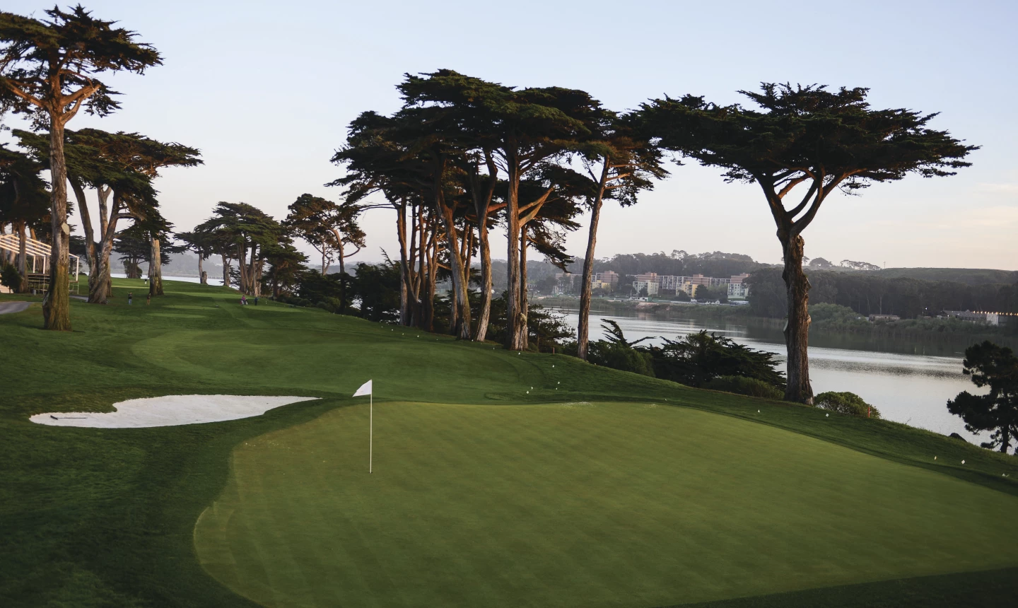 TPC Harding Park