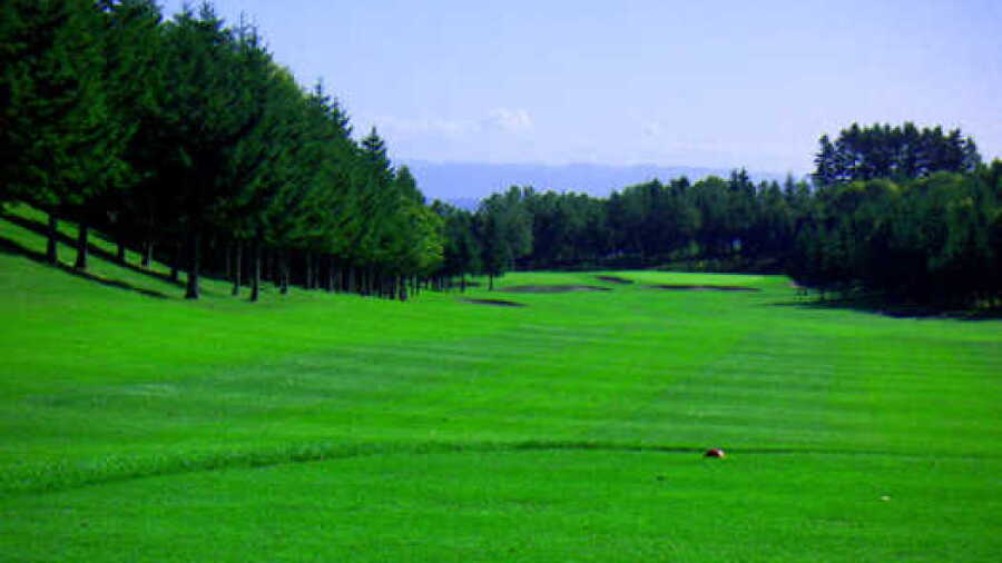 Gold Sapporo CC: #18