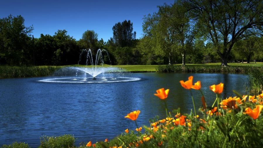 Bidwell Park GC