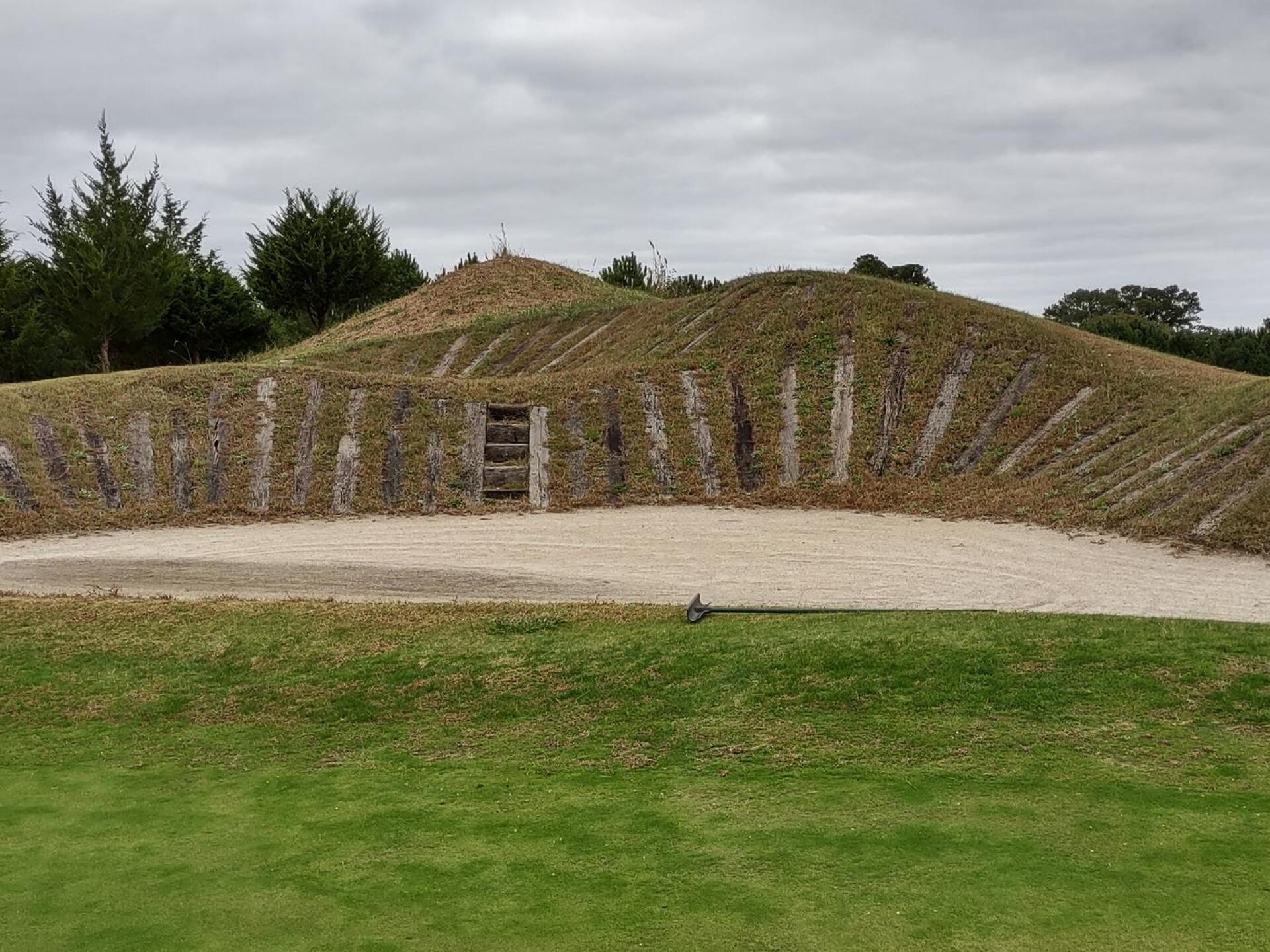 (Photo submitted by sixeagles on 10/31/2021)