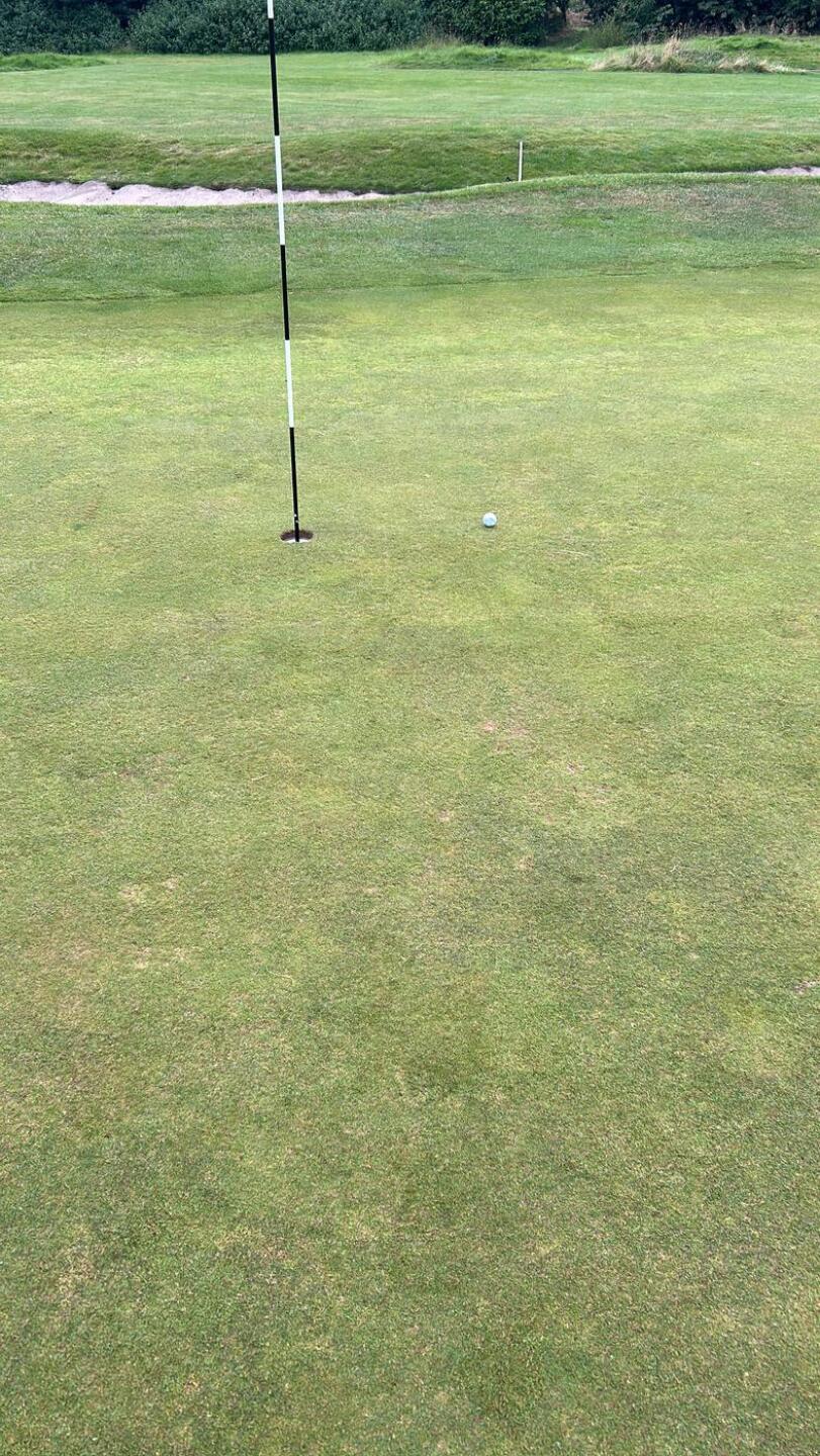 (Photo submitted by pqueenan33 on 08/14/2024)