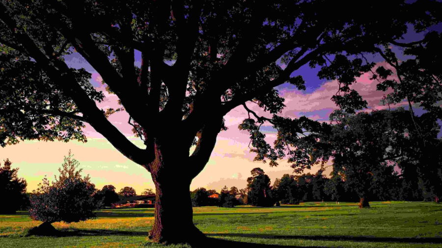 Meon Course at Meon Valley: #18