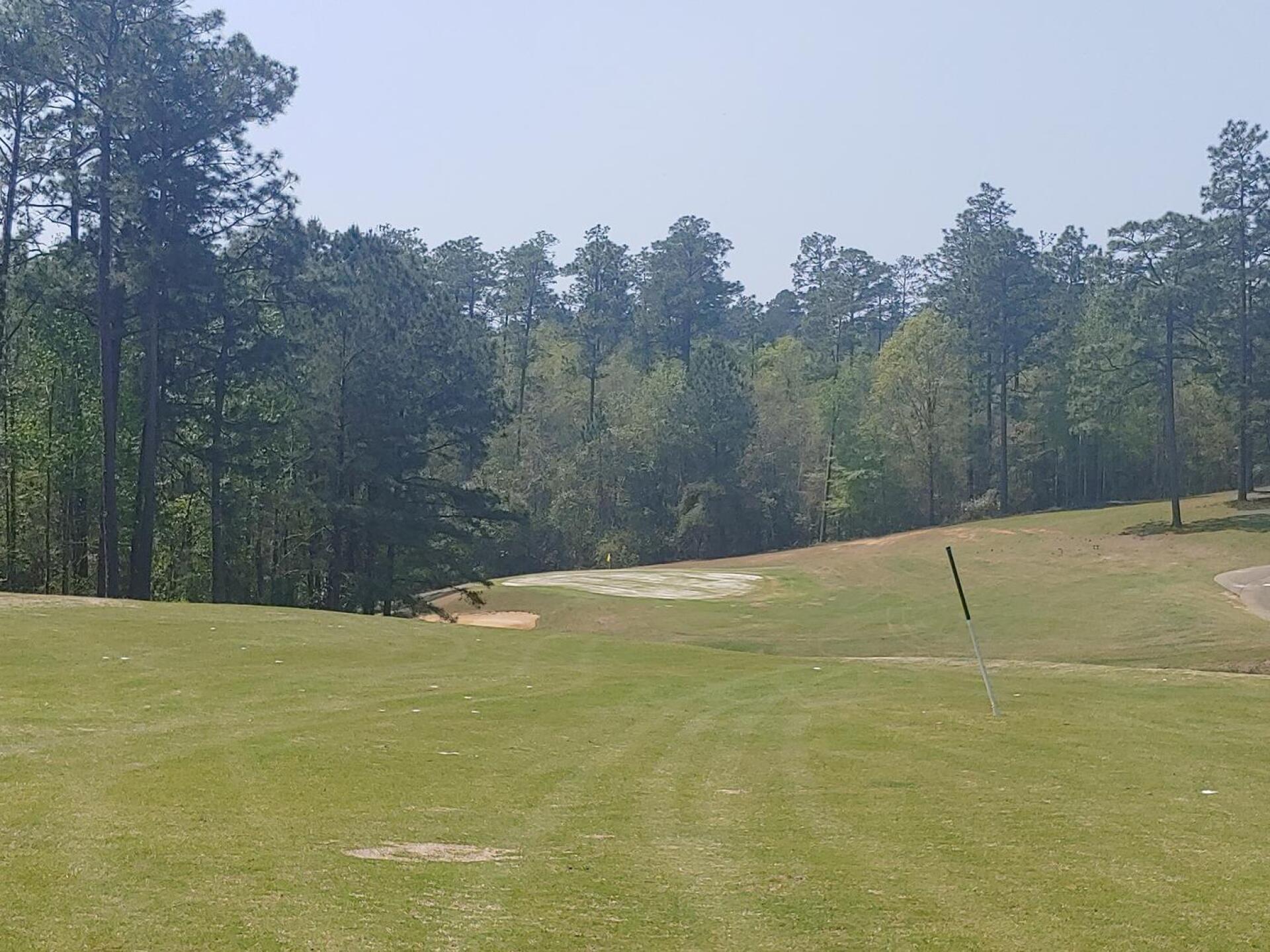 (Photo submitted by refrowland on 04/06/2021)