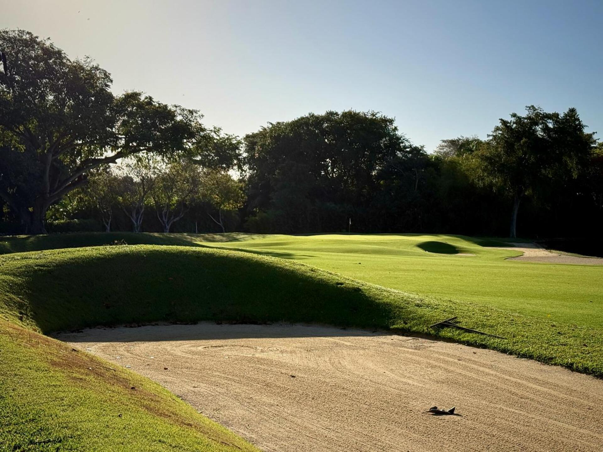Casa de Campo (Teeth of the Dog), hole 14 (Photo submitted by TimGavrichGP on 03/24/2026)
