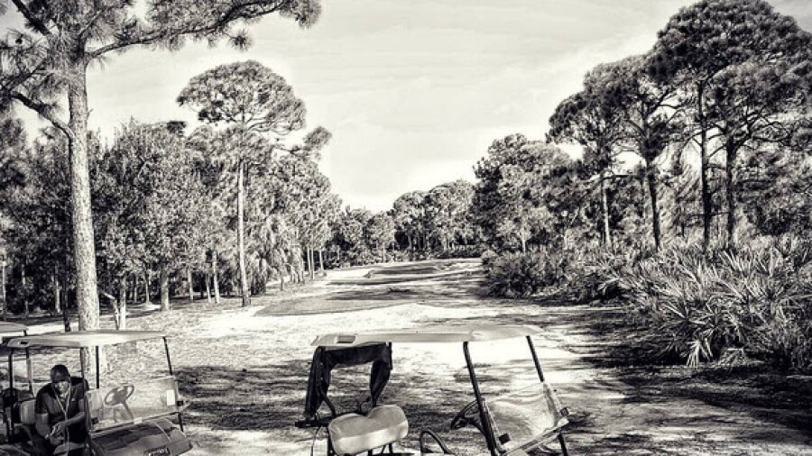 7 - Living The Green - October 2015 - themichellewie