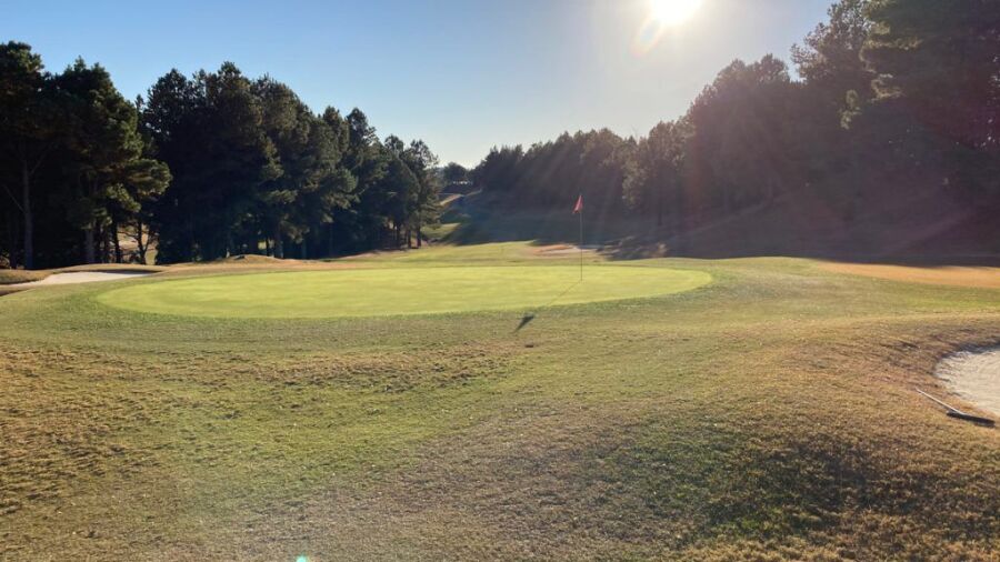 Enakyo CC - Pine: #9
