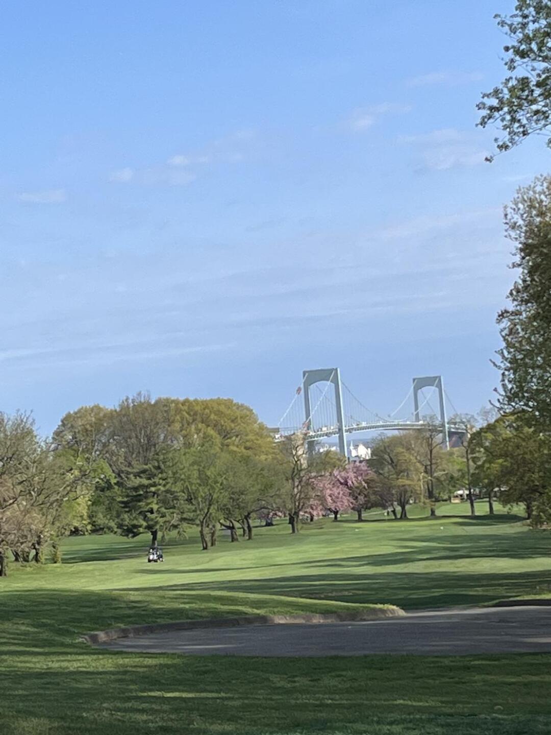 (Photo submitted by gn27783016 on 04/24/2026)