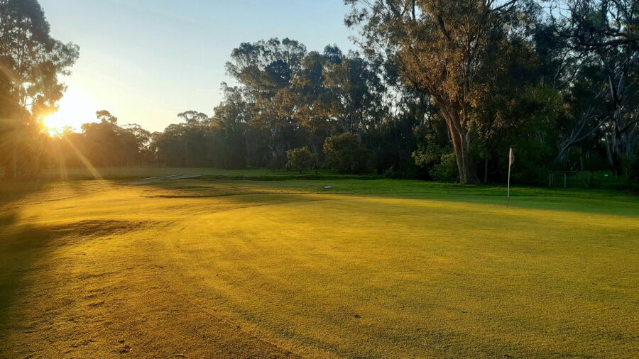 Euroa GC: #11