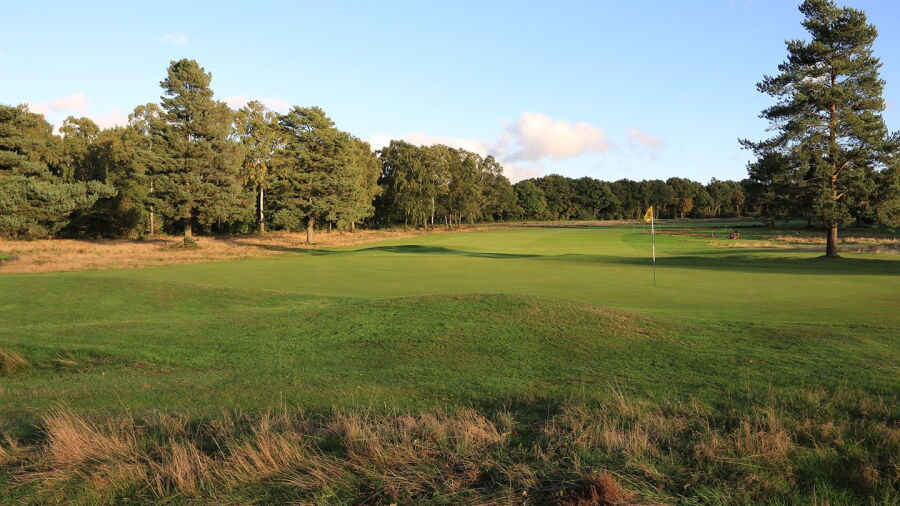 Walton Heath GC - Old