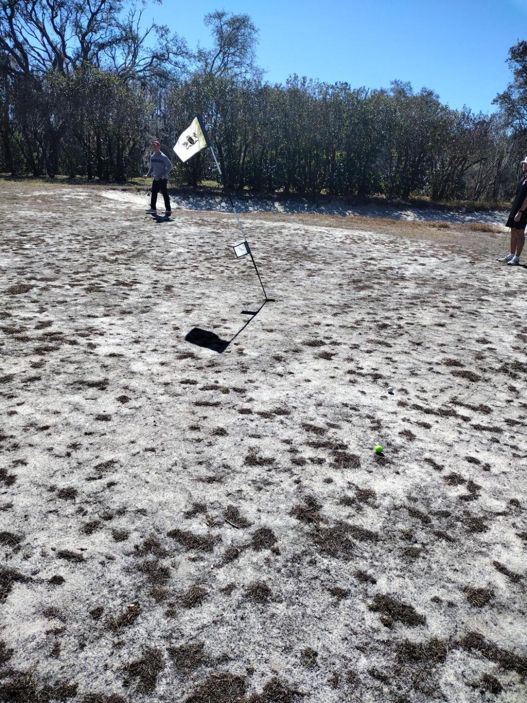 Even Bill Murray would quit.. (Photo submitted by gn23568461 on 02/08/2026)