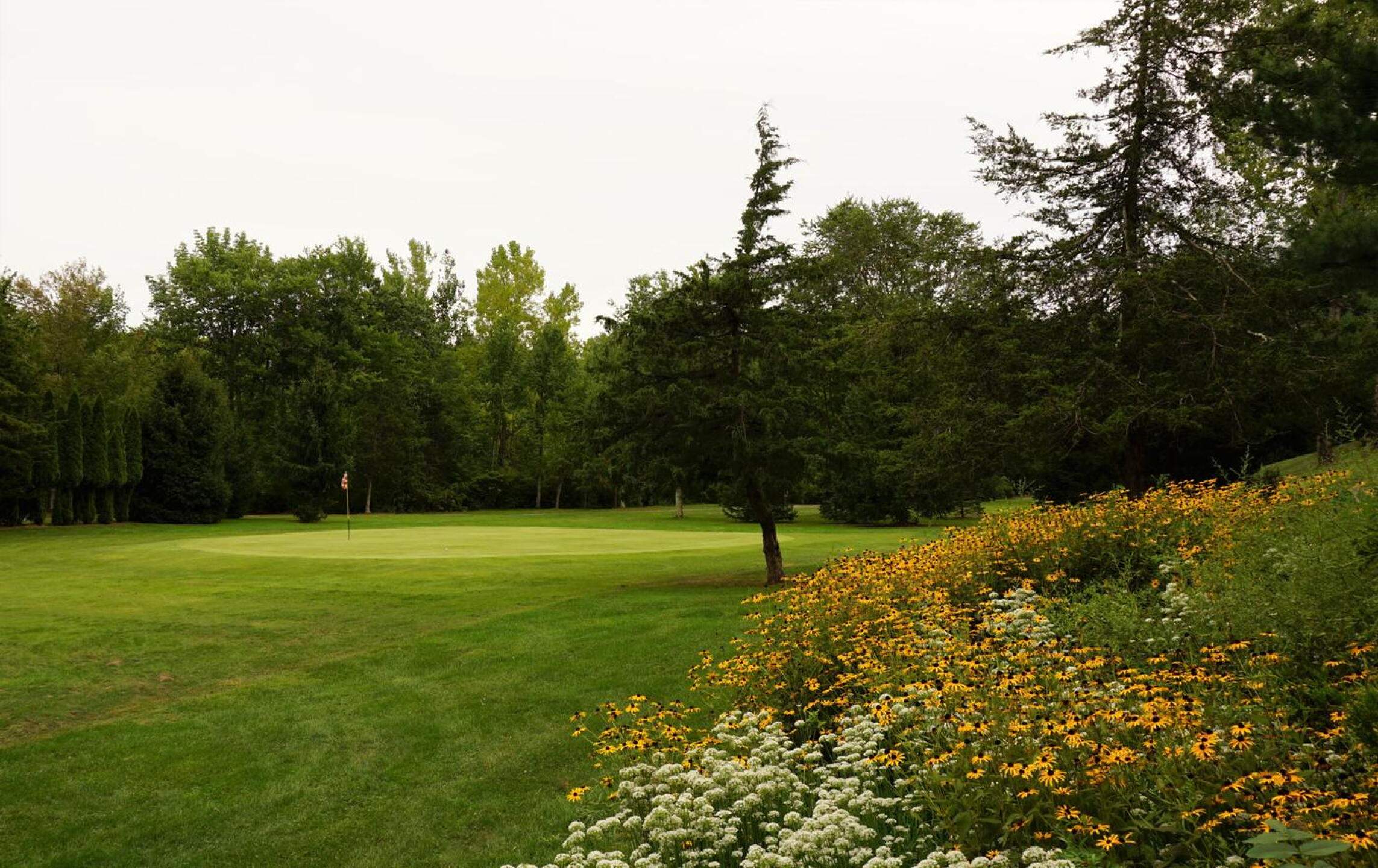 Third: A nice touch added on the right side of this fairway. (Photo submitted by AptlyLinked on 09/09/2020)