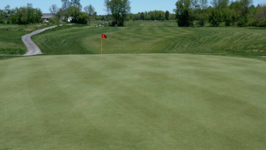 Anderson Links GCC