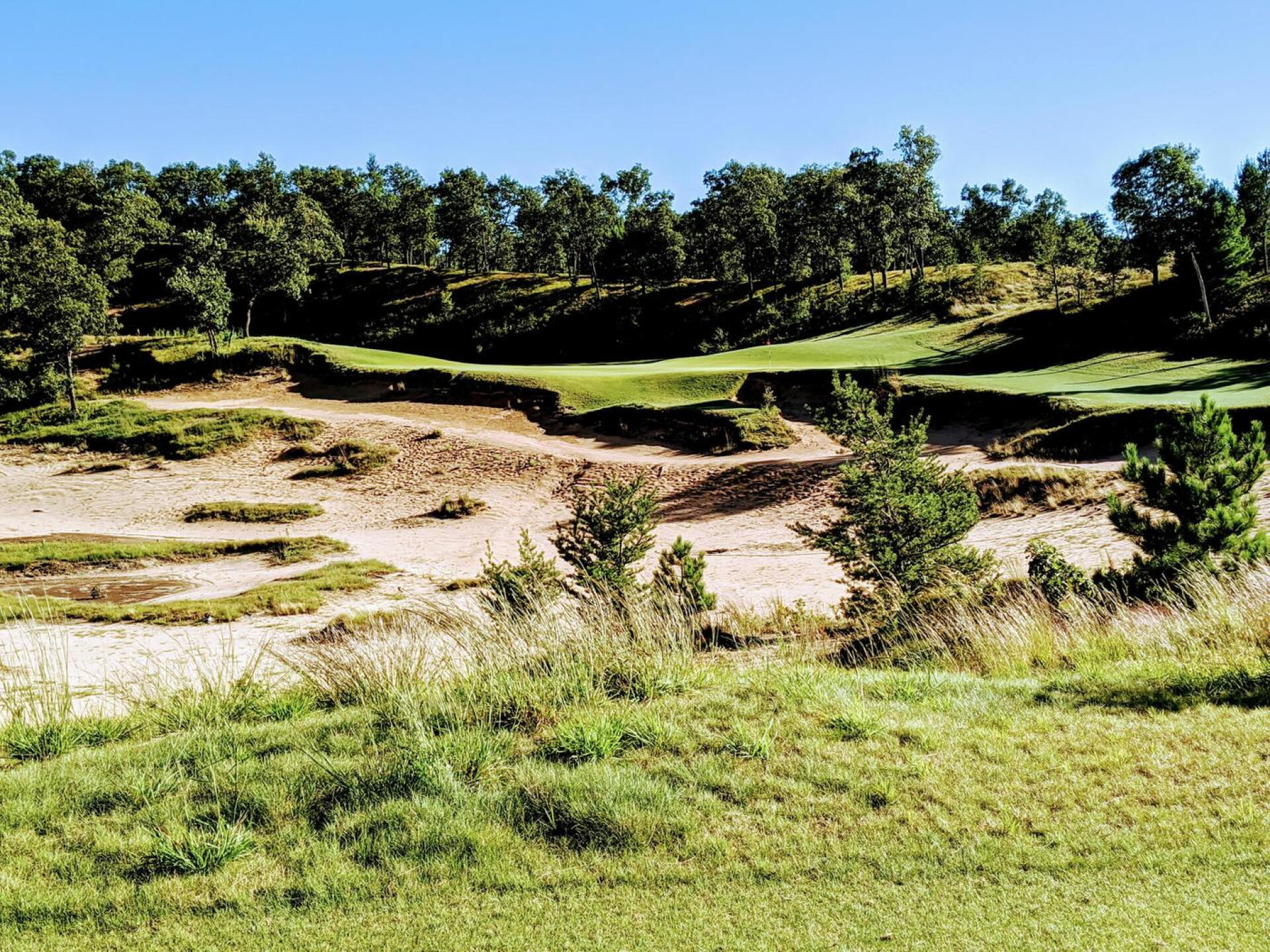Hole 13 - my favorite par 3 on the property (Photo submitted by GolferJake78 on 09/02/2020)