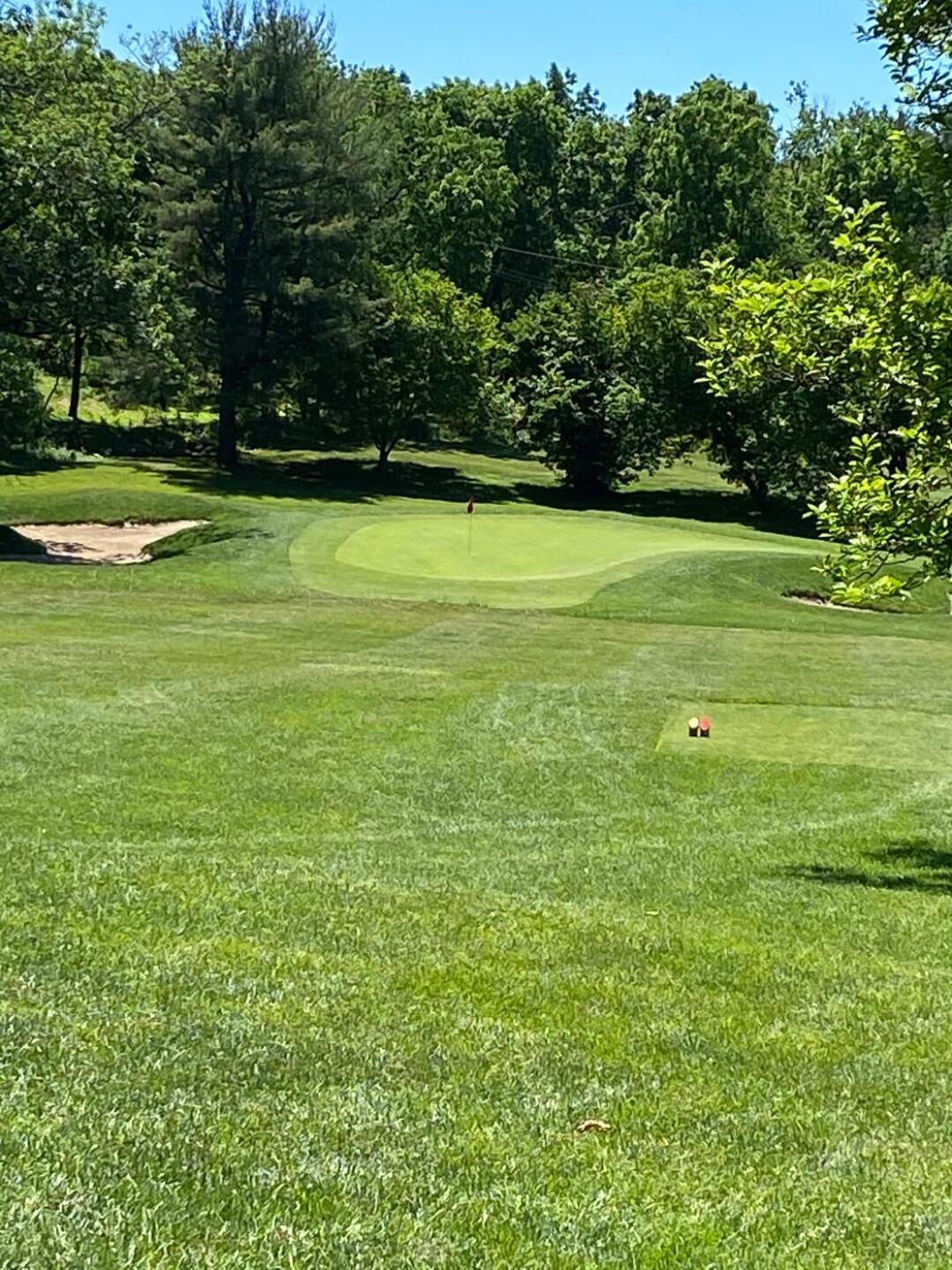 (Photo submitted by susan1 on 06/14/2020)