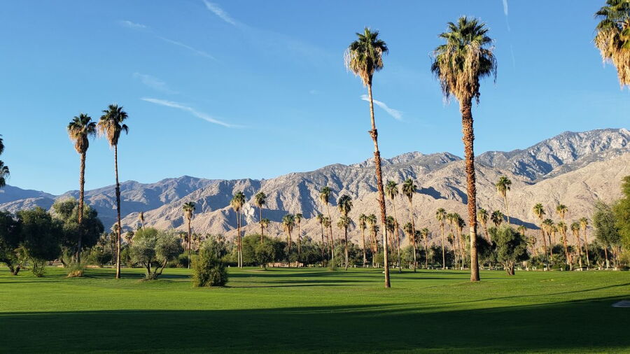 Mesquite GCC