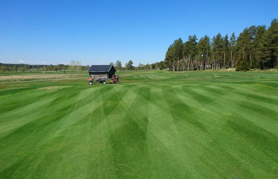 Lulea GC - Ermine: #8