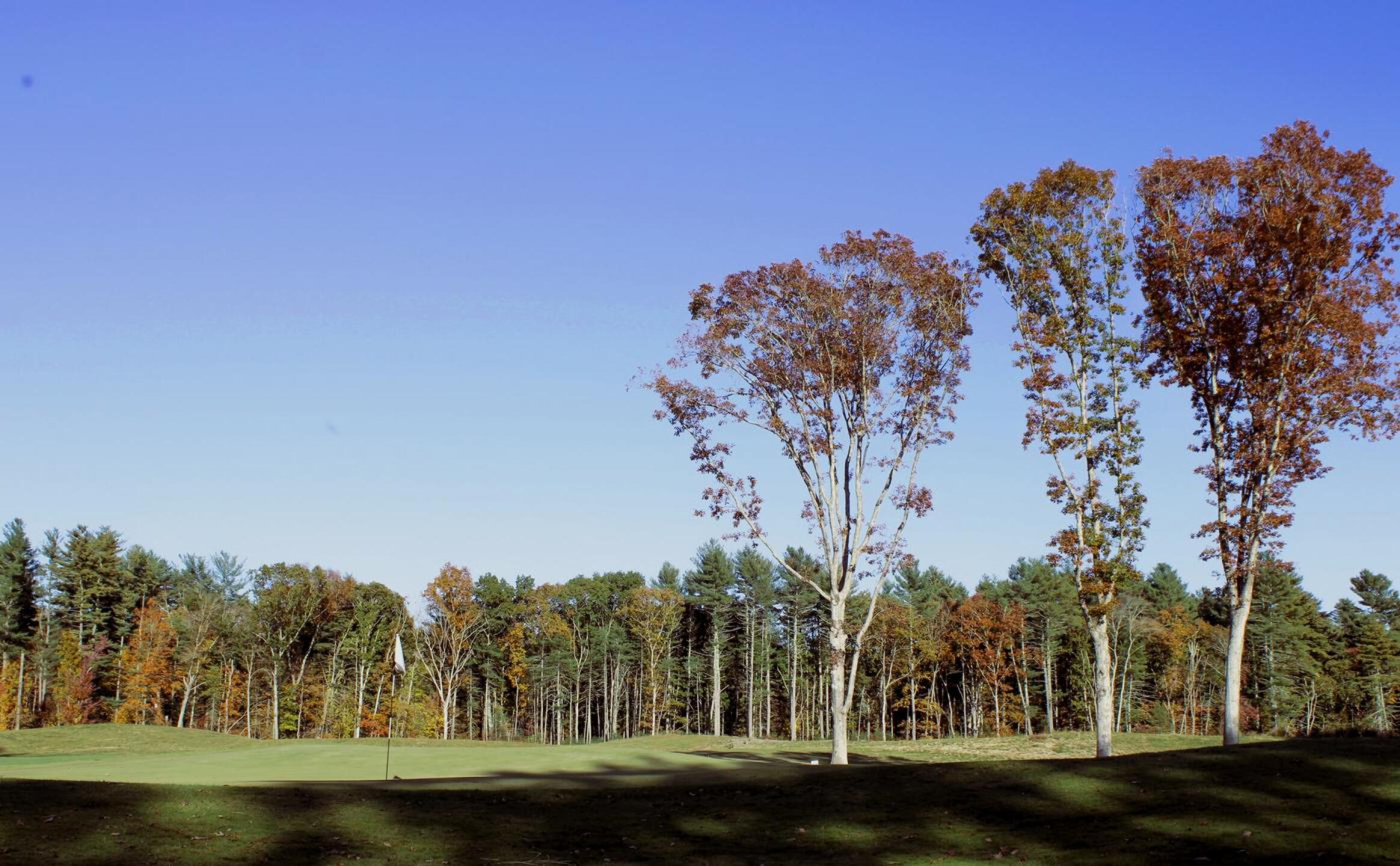 Hole 13, par-4, 347 yards: A look at the green on one of the new holes. Tee to green, the hole is a solid drive-and-pitch affair. (Photo submitted by AptlyLinked on 10/22/2024)
