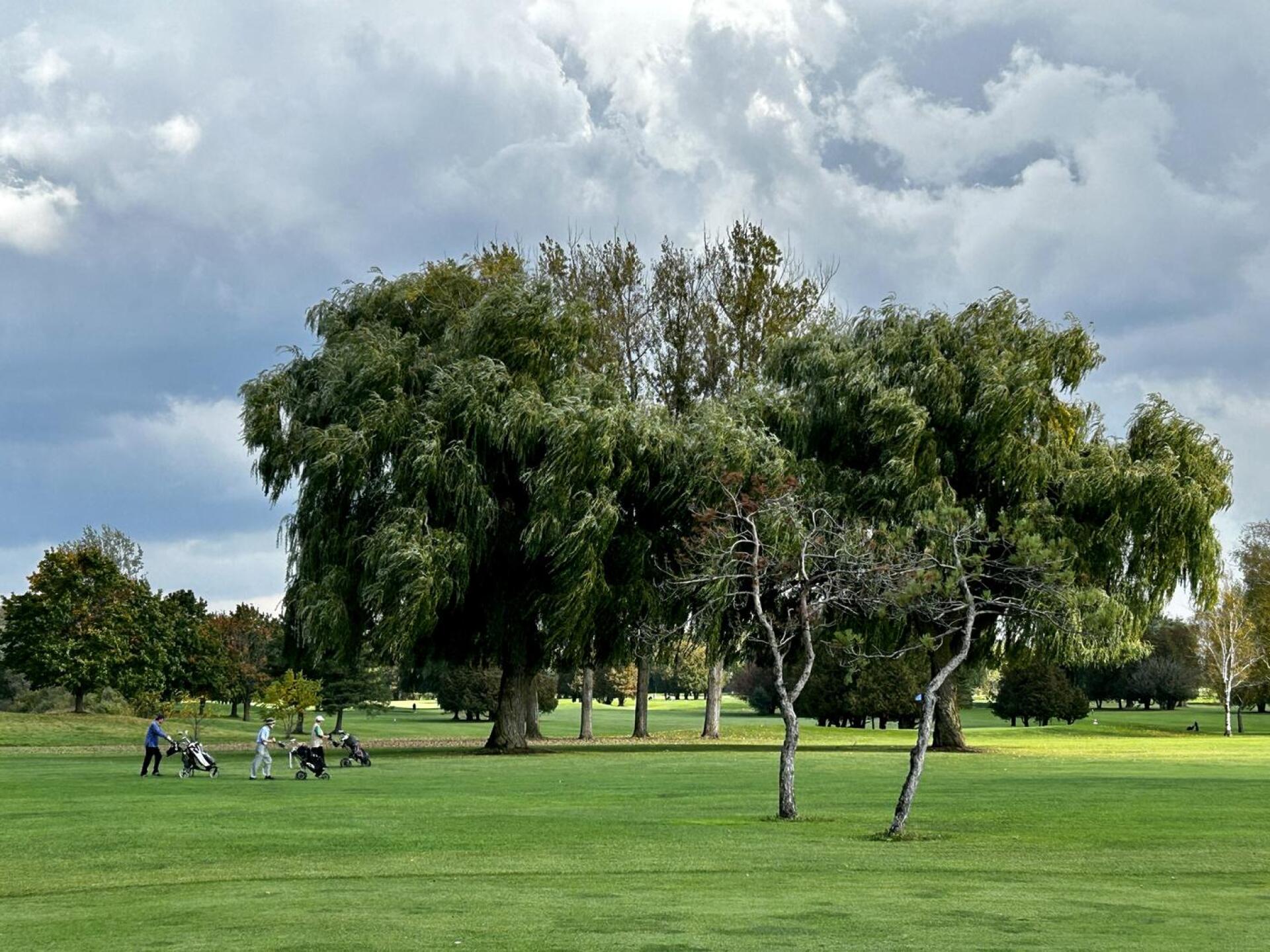 (Photo submitted by Merv4 on 10/09/2023)