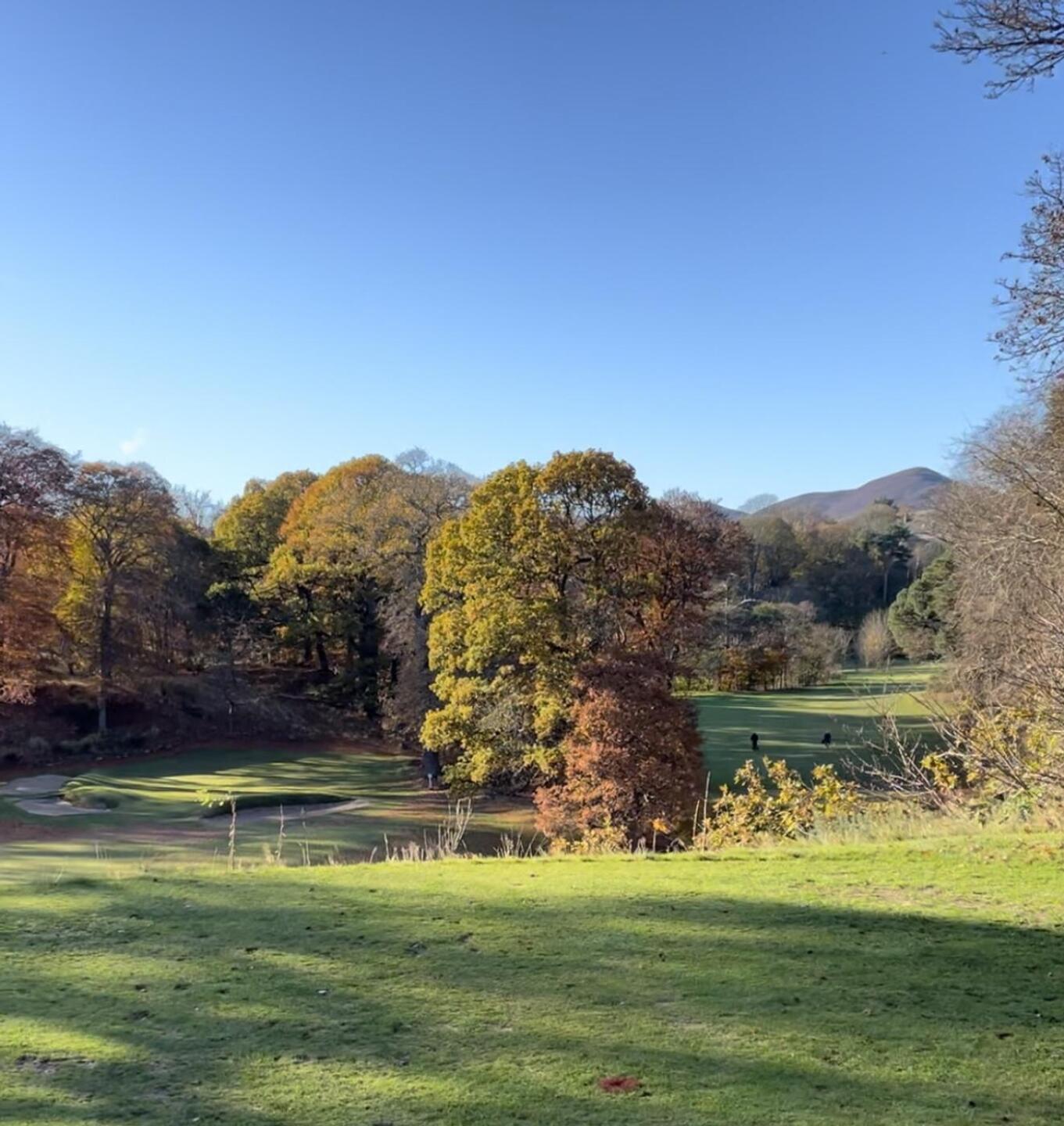 (Photo submitted by wardy8 on 11/13/2023)