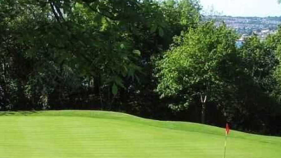 Green from Churston GC