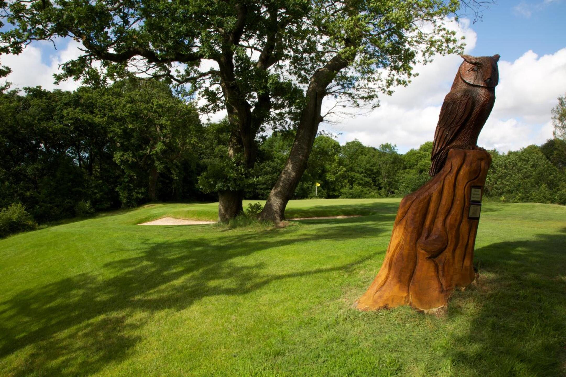 The owl carving (they also have a bear on the next hole), Par 3 10th green is in the background (Photo submitted by AndyLeadbetter on 12/18/2019)