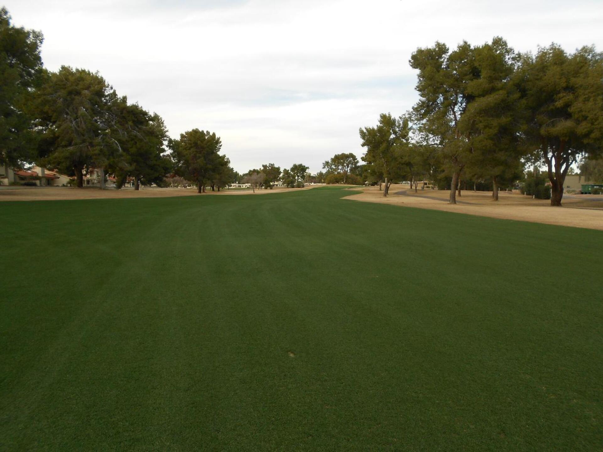 Typical Fairway (Photo submitted by bobesson629 on 02/03/2016)