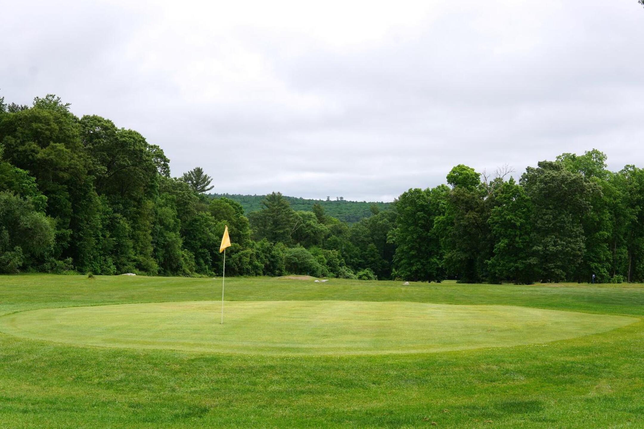 Five is a simple drive-and-pitch hole, but its green is somewhat crowned. (Photo submitted by AptlyLinked on 06/08/2023)