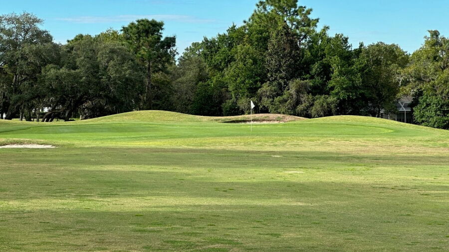 Citrus National GC: #9