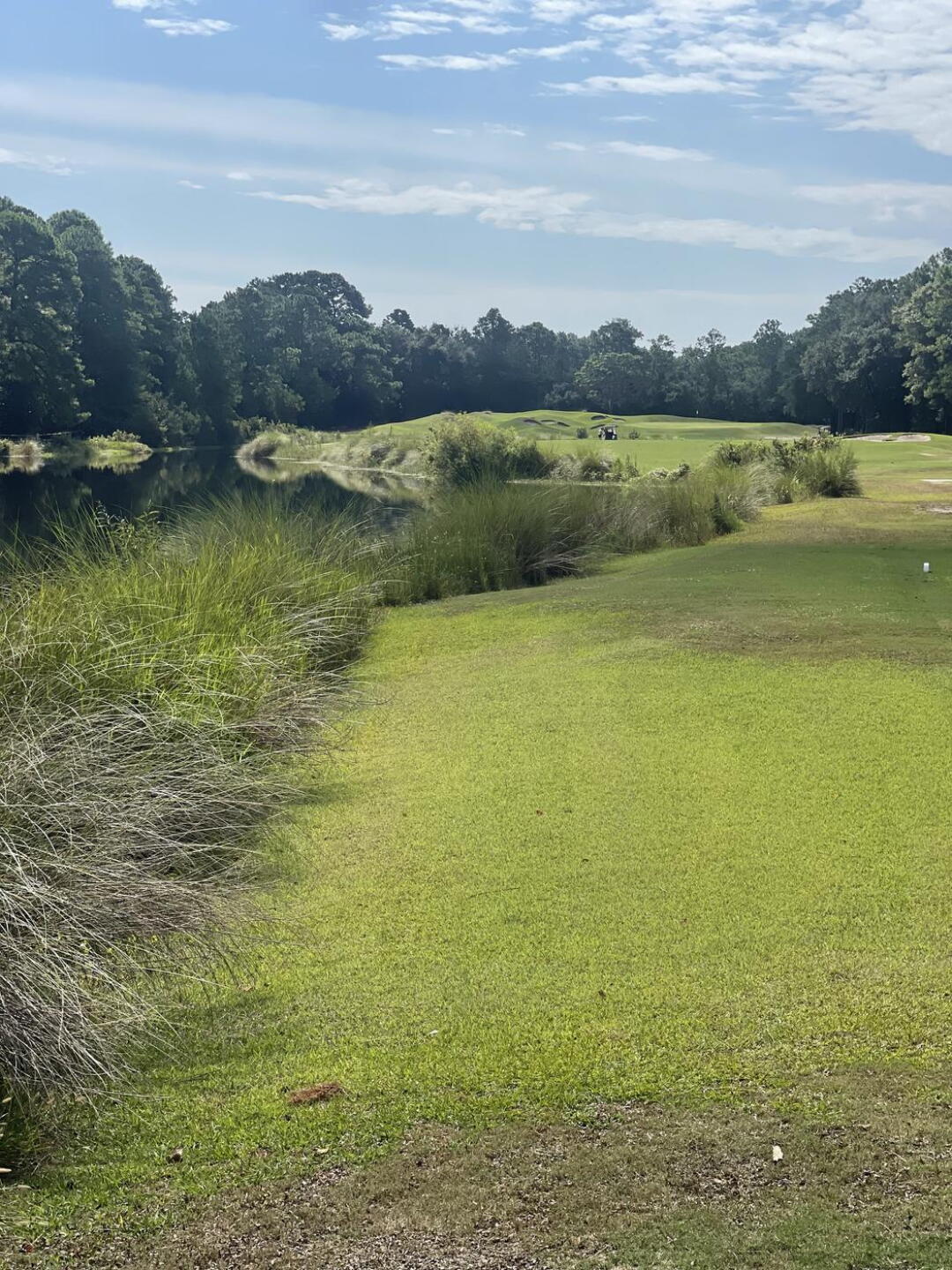 (Photo submitted by knutzforegolf on 09/25/2024)