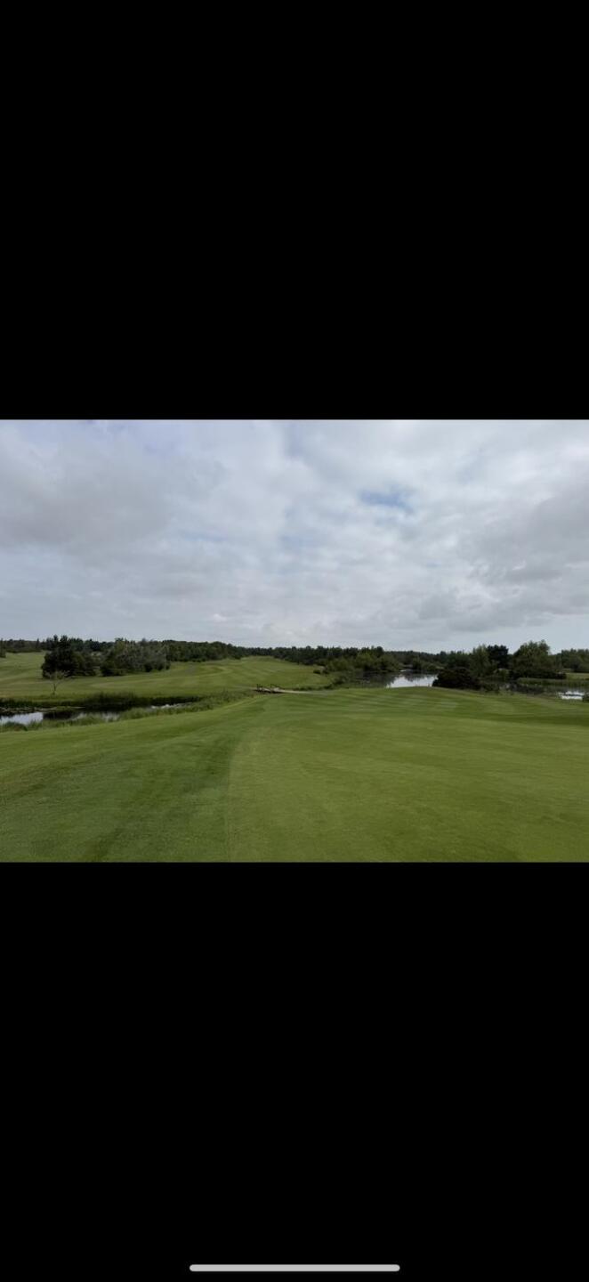 (Photo submitted by Mickytrotter1 on 03/06/2026)