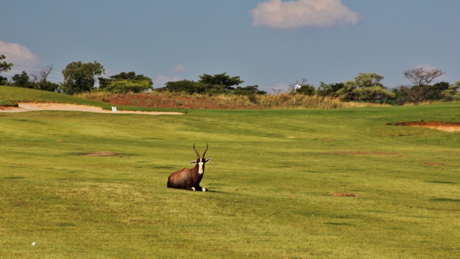 Legend Golf & Safari Resort - Signature Course