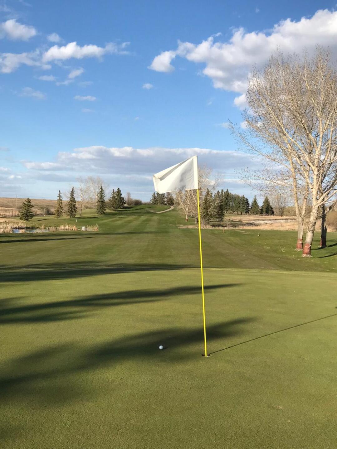 (Photo submitted by Cfry on 05/30/2019)