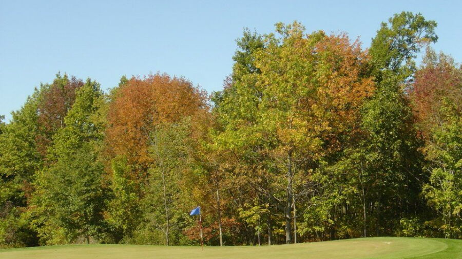 Hilly Haven GC