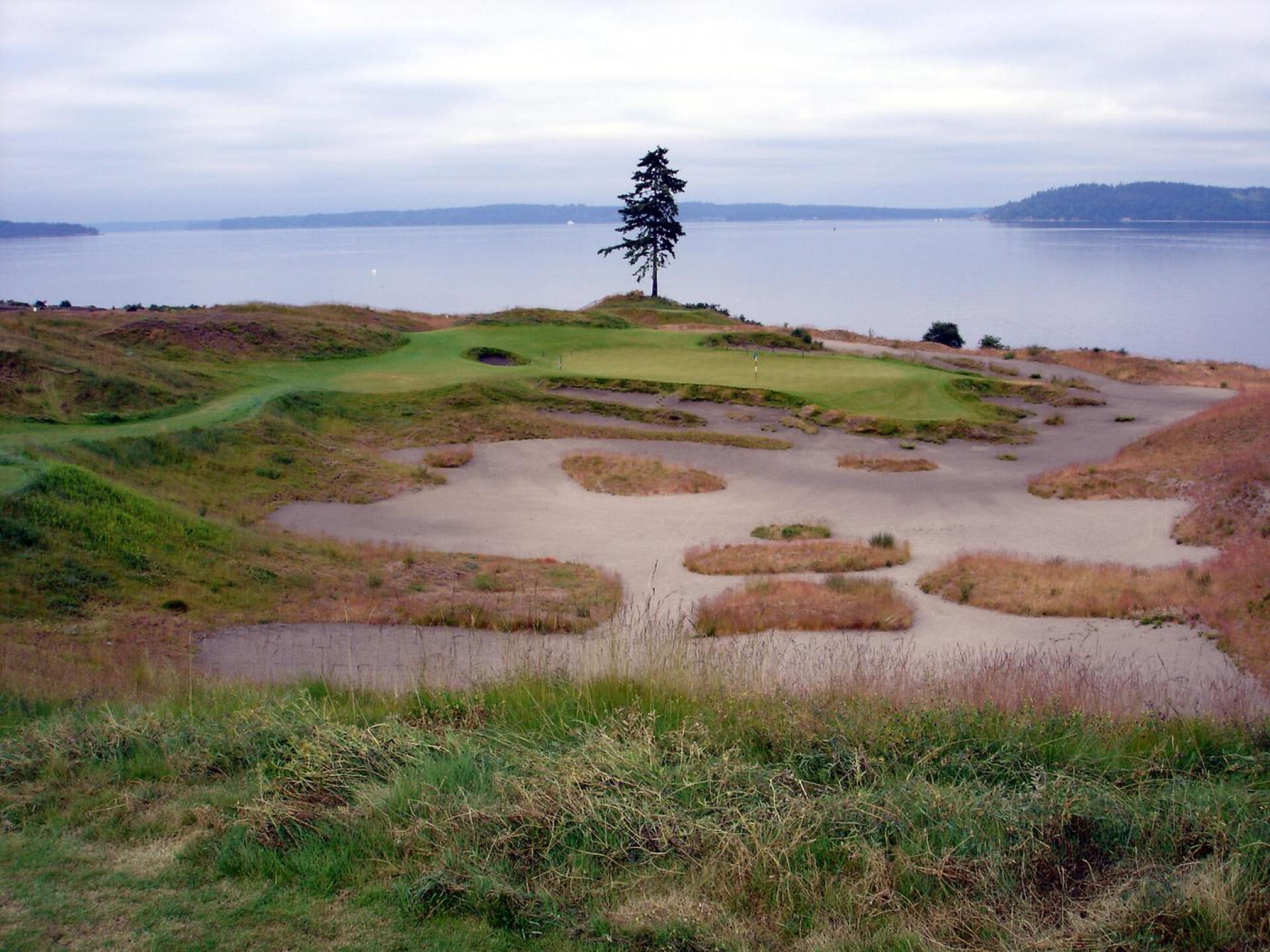 Chambers Bay Golf Course, Hole 15, Par 3, 172 yds, Lone Fir (Photo submitted by DYakimec on 03/26/2017)