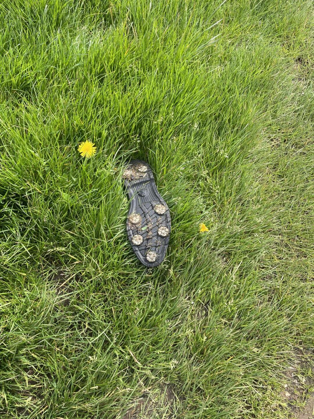 (Photo submitted by 25MjaAHgS4J0qgYkyYWf on 04/30/2023)