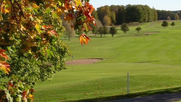 Finspangs GC - Blue: #9