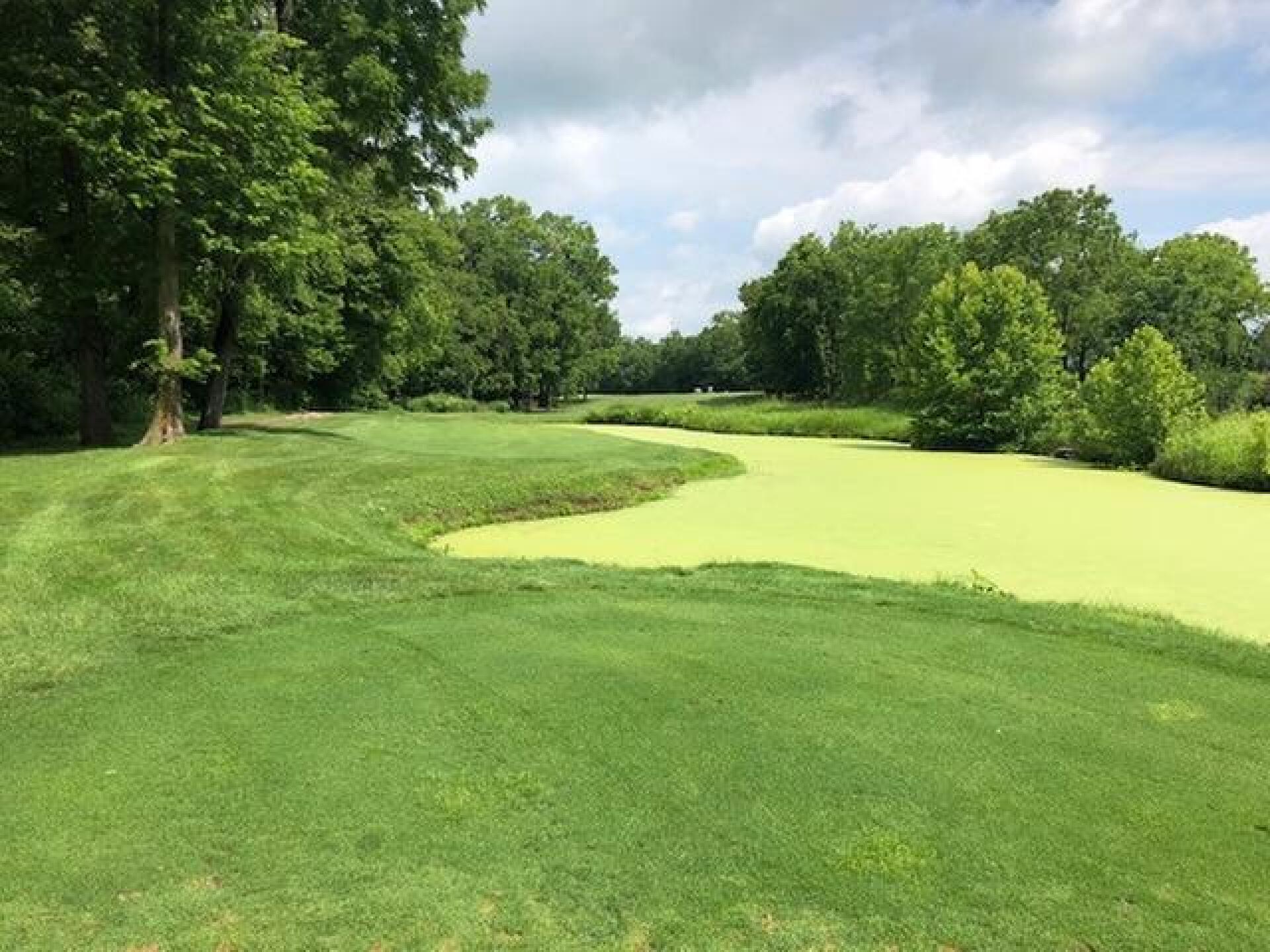 #12 Tee (Photo submitted by Duvy on 06/25/2018)